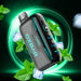 OXBAR X Rocky Vapor G42K Disposable Vape 20mL : double mint